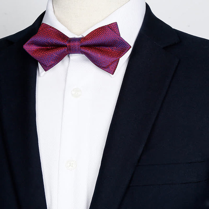 Nœud papillon élégant à carreaux dégradés de couleurs pour hommes