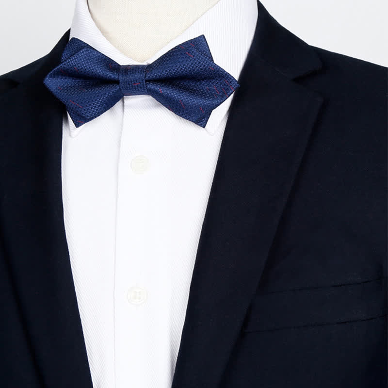 Nœud papillon élégant à carreaux dégradés de couleurs pour hommes