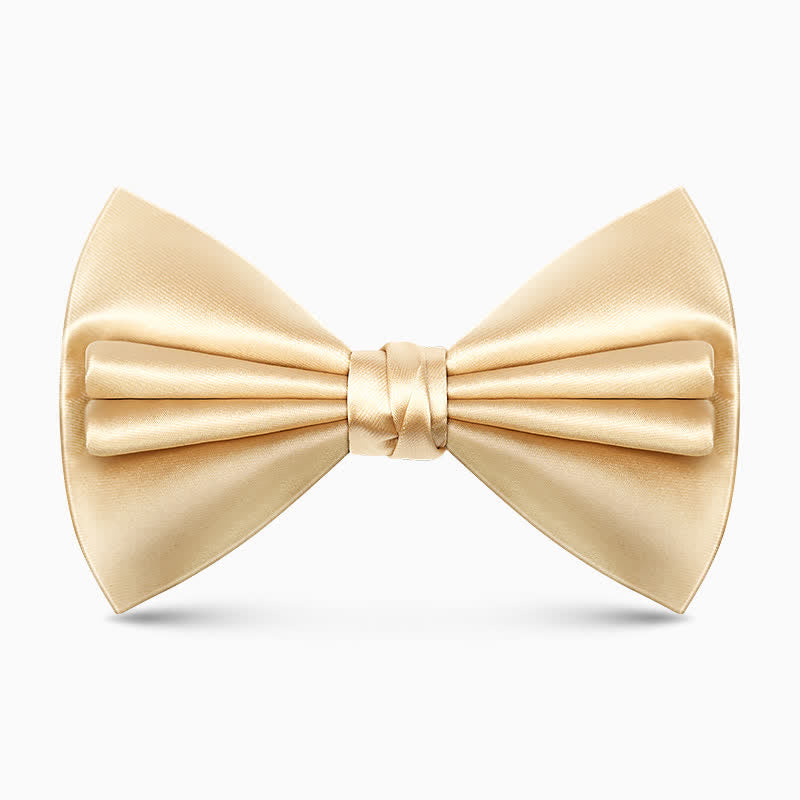 Nœud papillon double épaisseur unique pour homme, couleur unie et froissée