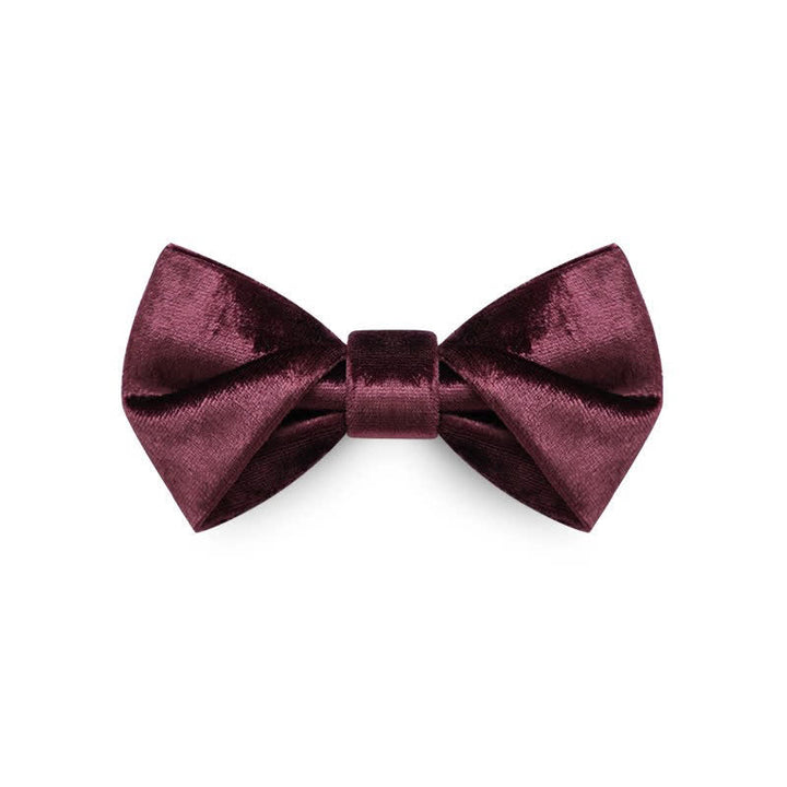 Nœud papillon romantique en velours bordeaux pour homme