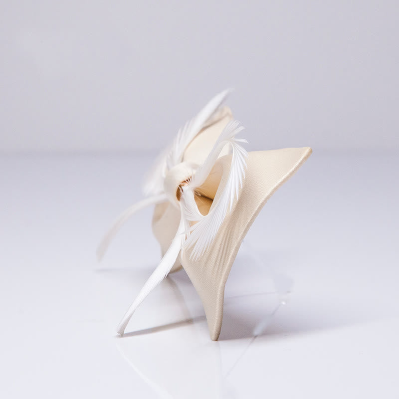 Nœud papillon à plumes champagne pour homme