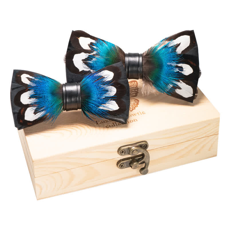 Lot de 2 noeuds papillon paon bleu et noir parent-enfant
