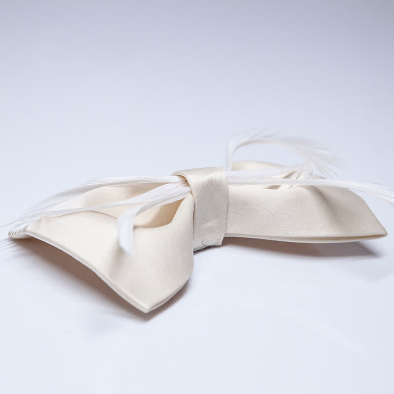 Nœud papillon à plumes champagne pour homme