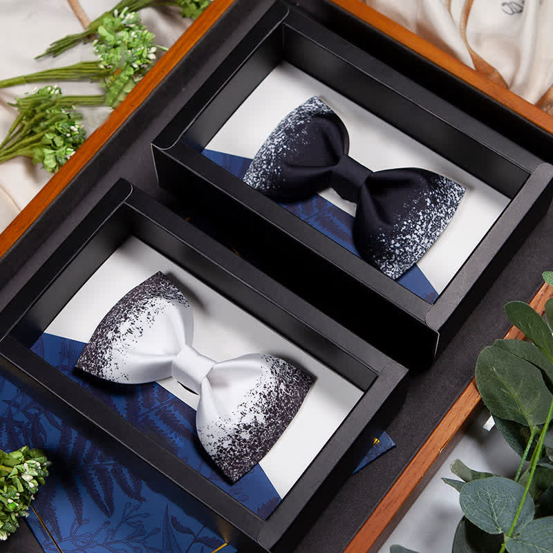Nœud papillon pour homme, ciel nocturne resplendissant, noir et blanc