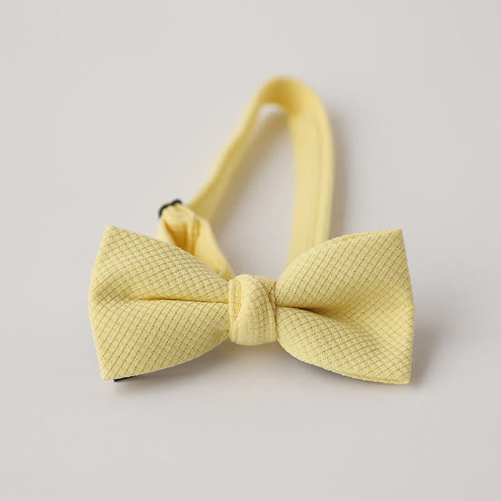 Nœud papillon de couleur unie pour homme à thème Morandi