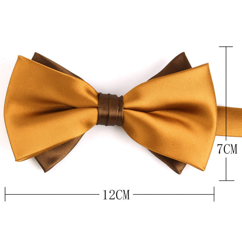 Nœud papillon double épaisseur bicolore de luxe pour homme