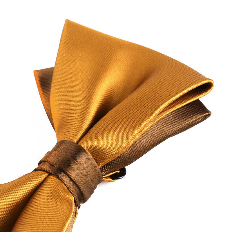 Nœud papillon double épaisseur bicolore de luxe pour homme
