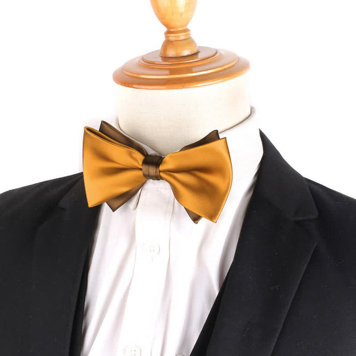 Nœud papillon double épaisseur bicolore de luxe pour homme