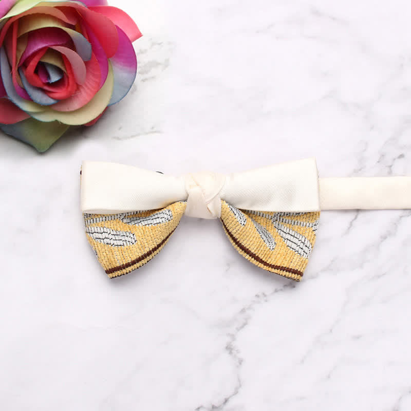 Nœud papillon à épissure de couleur bonbon pour homme