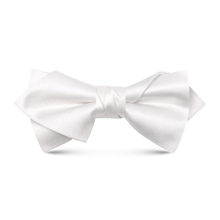 Nœud papillon pointu à double épaisseur irrégulier unique pour homme