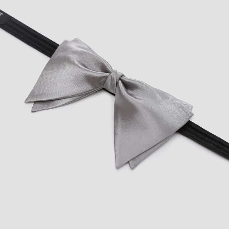 Nœud papillon surdimensionné et gracieux pour homme