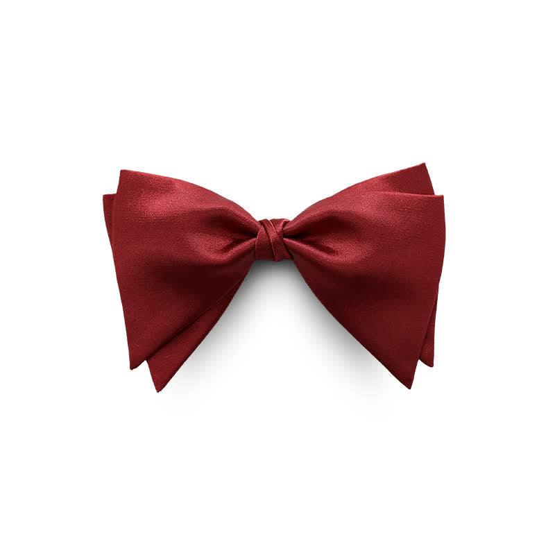 Nœud papillon surdimensionné et gracieux pour homme