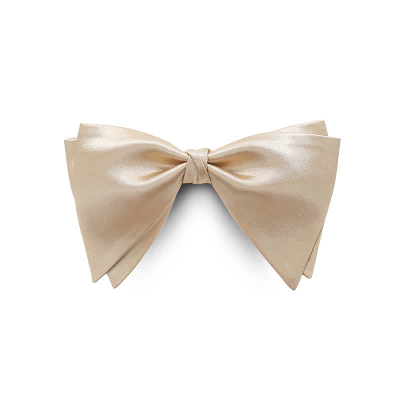 Nœud papillon surdimensionné et gracieux pour homme