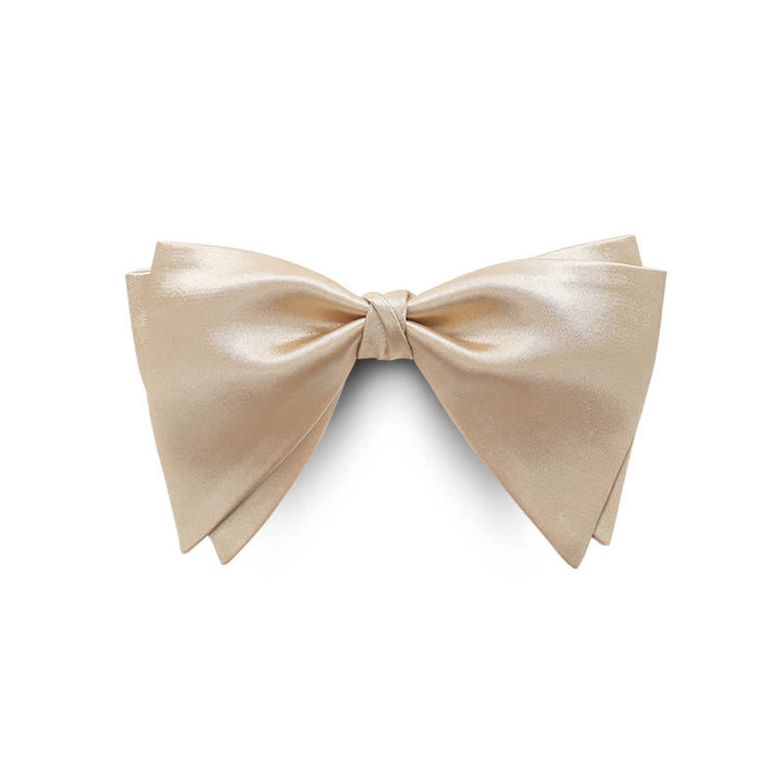 Nœud papillon surdimensionné et gracieux pour homme