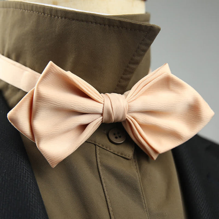 Nœud papillon spécial mariage pour homme en forme de pointe