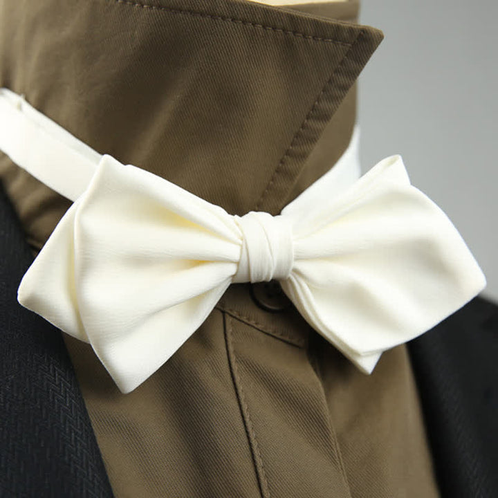 Nœud papillon spécial mariage pour homme en forme de pointe