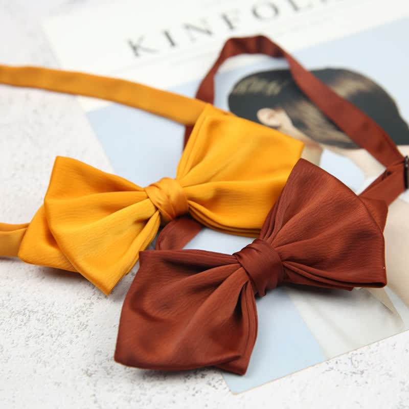 Nœud papillon spécial mariage pour homme en forme de pointe