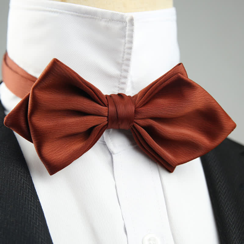 Nœud papillon spécial mariage pour homme en forme de pointe