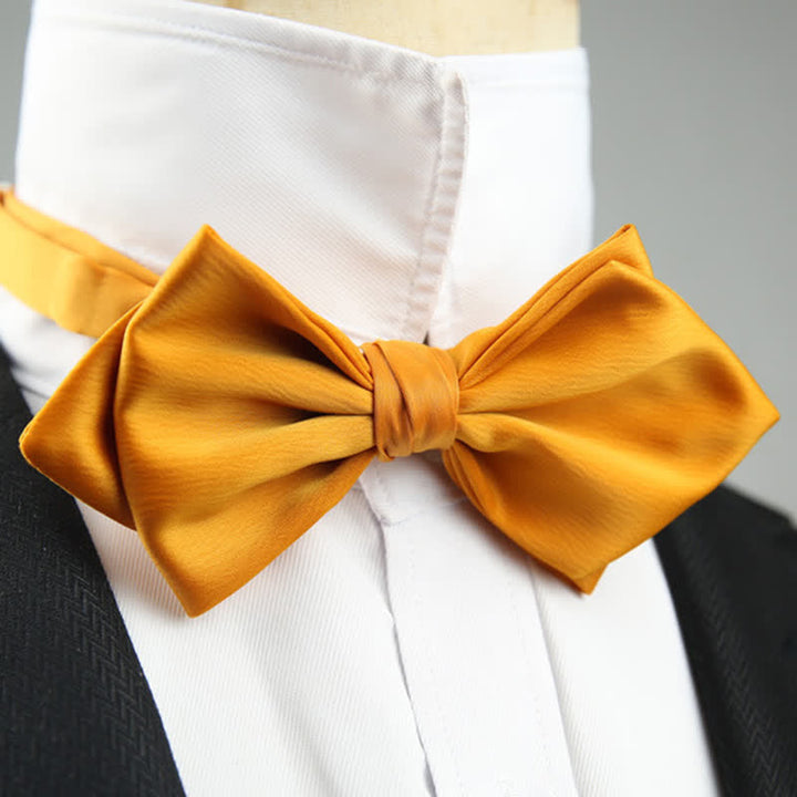 Nœud papillon spécial mariage pour homme en forme de pointe