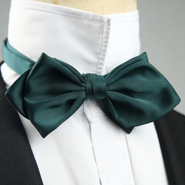 Nœud papillon spécial mariage pour homme en forme de pointe
