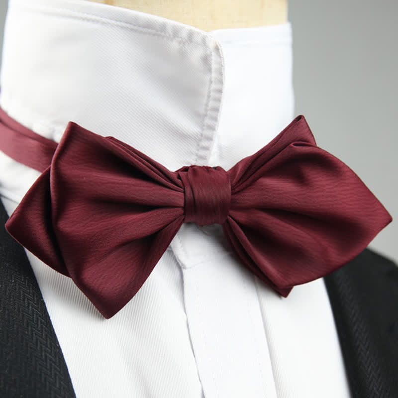 Nœud papillon spécial mariage pour homme en forme de pointe