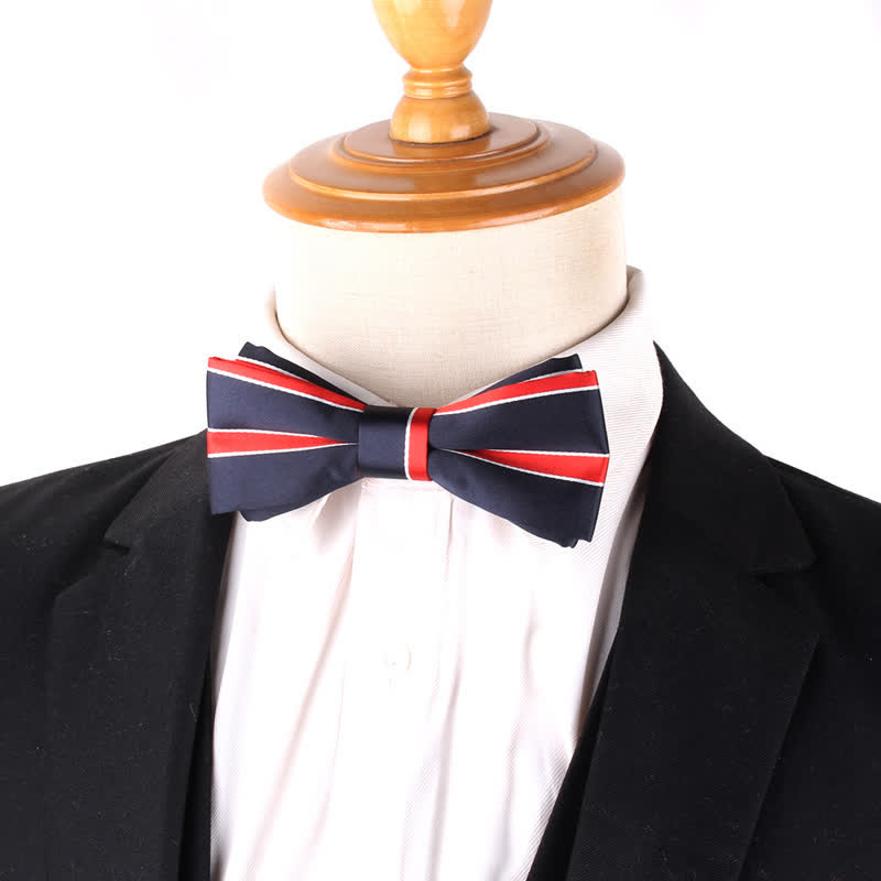 Nœud papillon rayé coloré et élégant pour homme