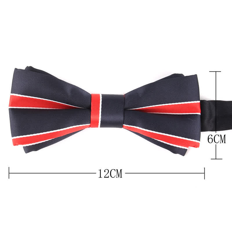 Nœud papillon rayé coloré et élégant pour homme