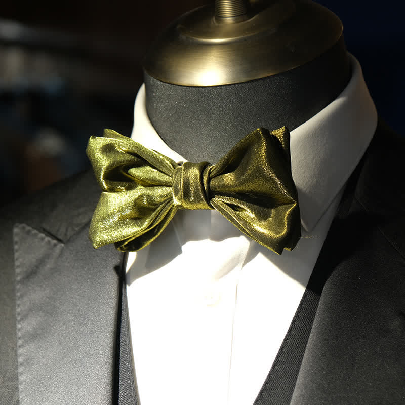 Nœud papillon brillant et magnifique pour homme, rouge olive et vert