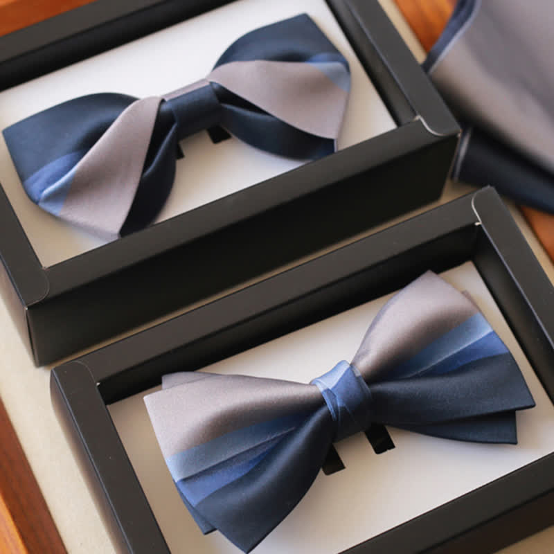 Nœud papillon pour homme de couleur contrastée bleu marine et gris argenté