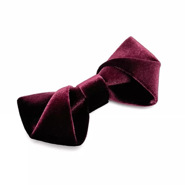 Nœud papillon en velours de couleur unie pour homme, série rouge foncé