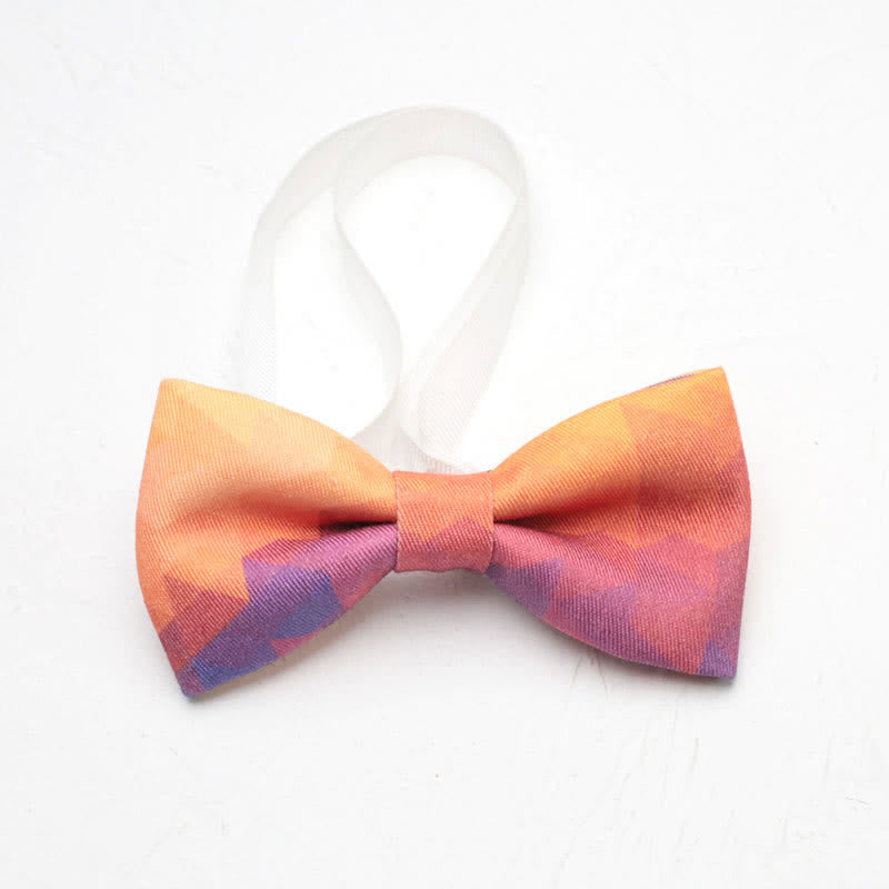 Nœud papillon simple dégradé de couleurs arc-en-ciel pour hommes