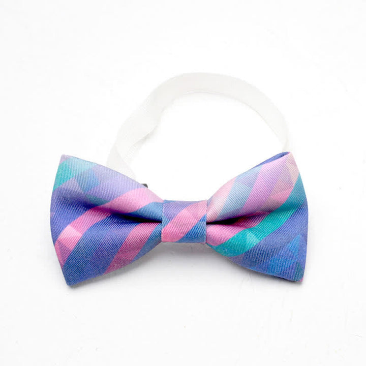 Nœud papillon simple dégradé de couleurs arc-en-ciel pour hommes