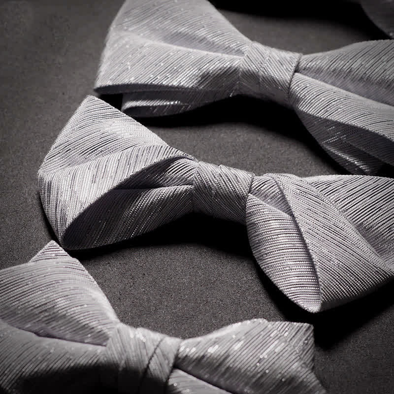 Nœud papillon en sergé pour homme, série Sparkle Silver Grey