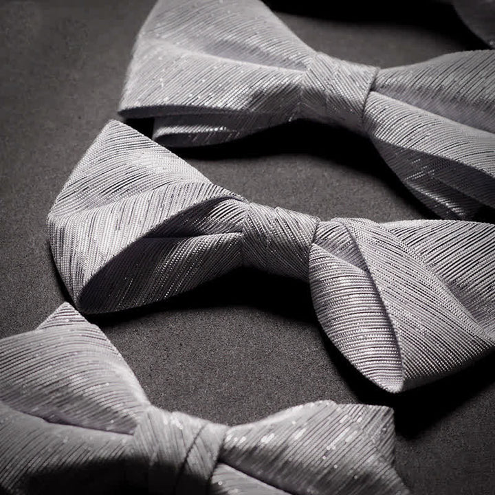 Nœud papillon en sergé pour homme, série Sparkle Silver Grey