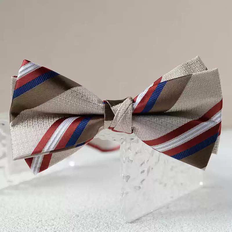 Nœud papillon double épaisseur imprimé vintage pour homme