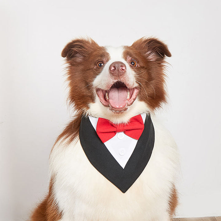 Bandana smoking pour chien avec noeud papillon