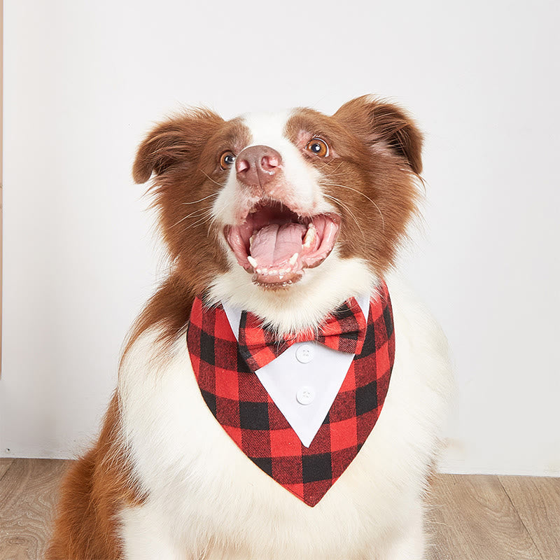 Bandana smoking pour chien avec noeud papillon
