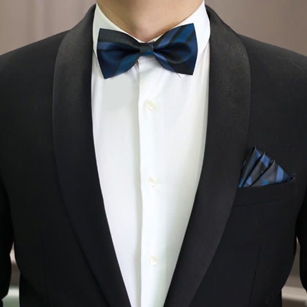 Nœud papillon à rayures bleu acier Noble Navy pour homme - Style n° 1 - Nœud papillon et pochette - image 4