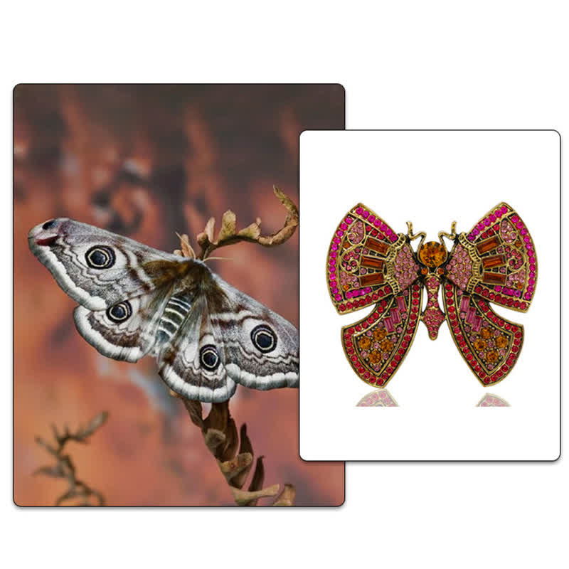 Broche papillon pour femme avec strass en cristal