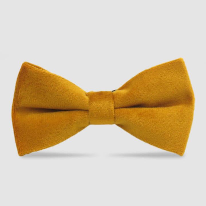 Nœud papillon formel en velours de couleur unie pour homme