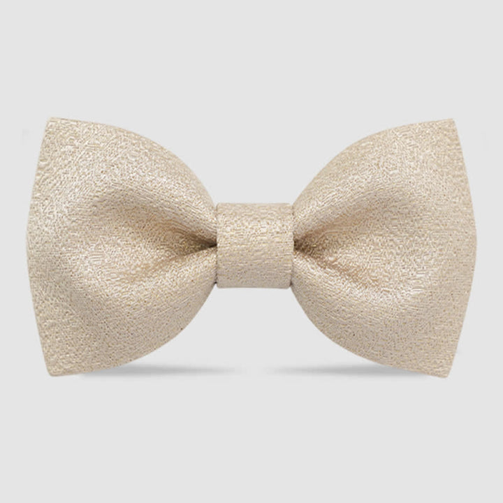 Noeud papillon classique à paillettes dorées pour homme