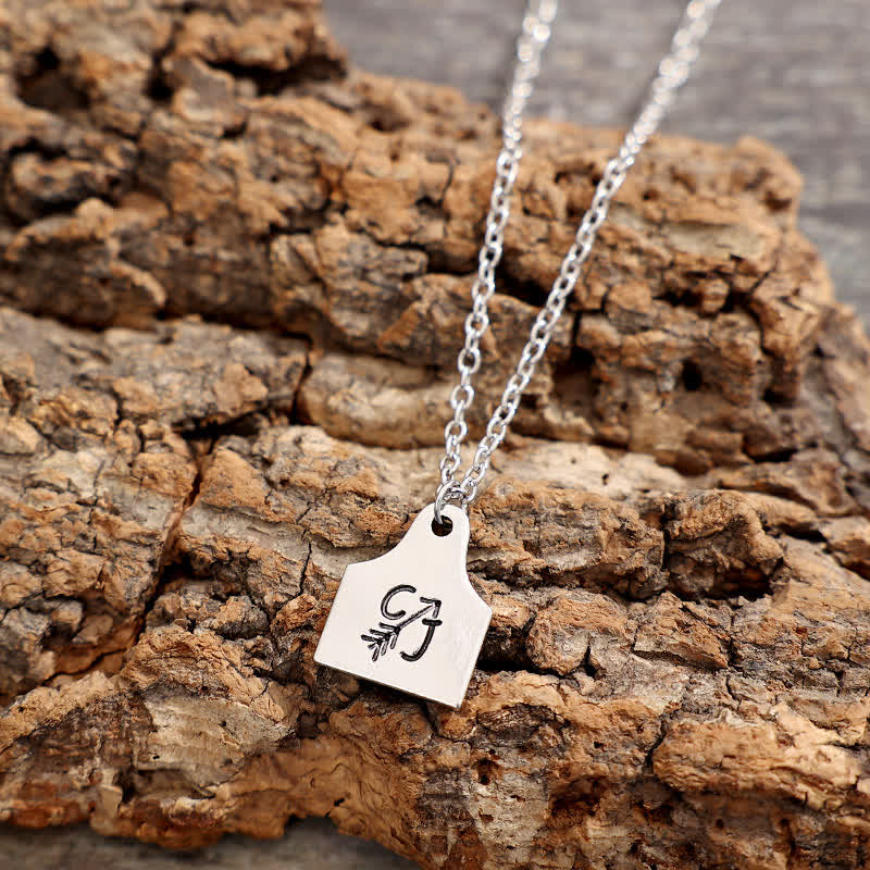 Collier personnalisé en acier inoxydable avec initiales en argent et mini-plaque d'identification pour bétail - image 10