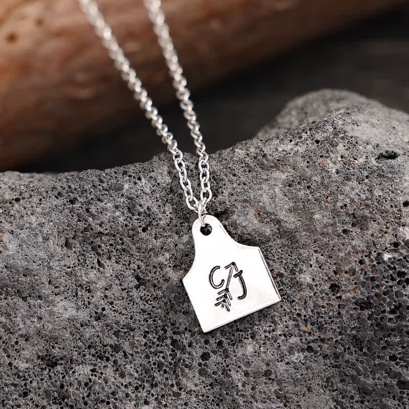 Collier personnalisé en acier inoxydable avec initiales en argent et mini-plaque d'identification pour bétail - image 8