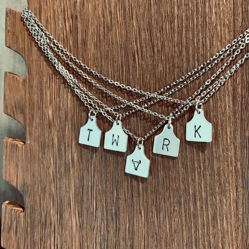 Collier personnalisé en acier inoxydable avec initiales en argent et mini-plaque d'identification pour bétail - image 3