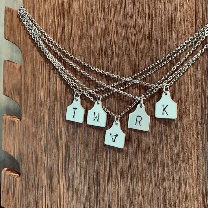 Collier personnalisé en acier inoxydable avec initiales en argent et mini-plaque d'identification pour bétail - image 3