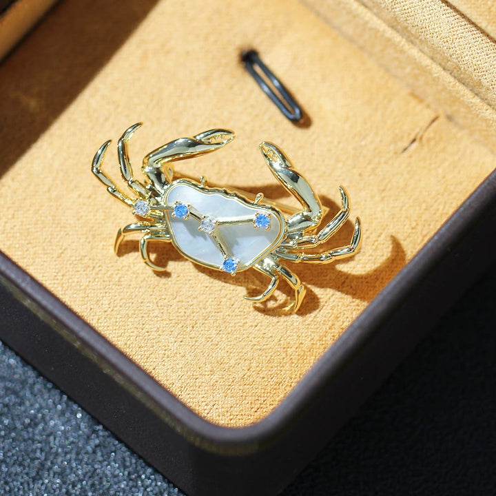 Broche en nacre et cristal bleu, or, représentant les 12 constellations - image 7