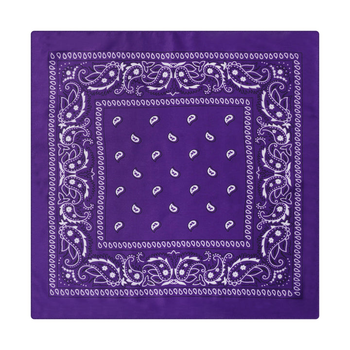 Pochette de costume à motif cachemire et noix de cajou, boucle marron en forme de voilier - Style n° 5 - image 6