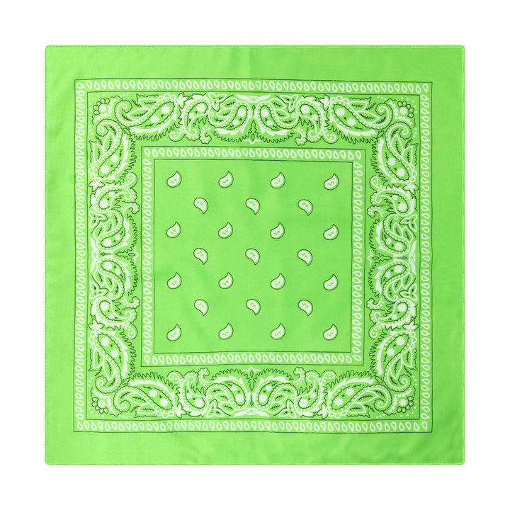 Pochette de costume vintage à motif cachemire et noix de cajou avec boucle étoile argentée - Style n° 5 - image 6