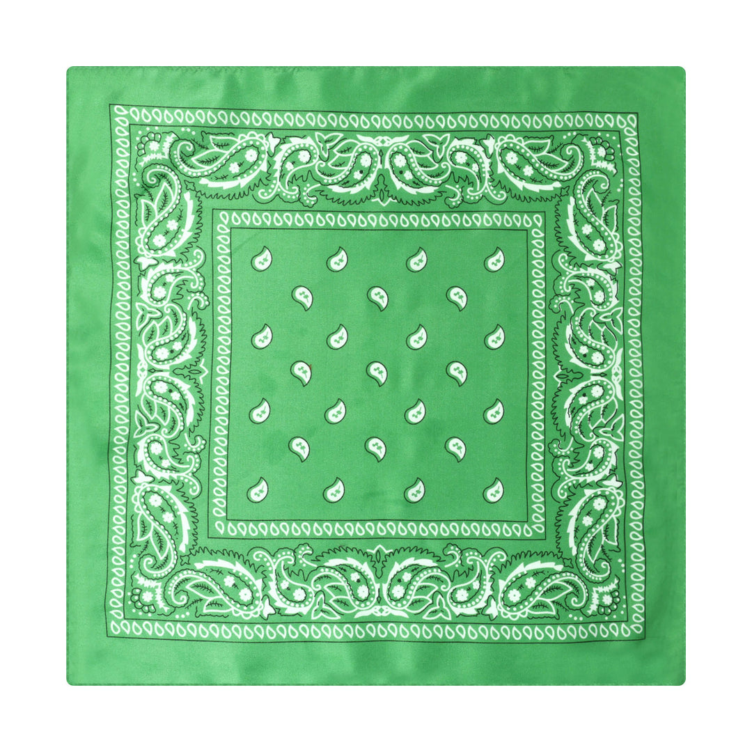 Pochette de costume vintage à motif cachemire et noix de cajou avec boucle étoile argentée - Style n° 13 - image 14