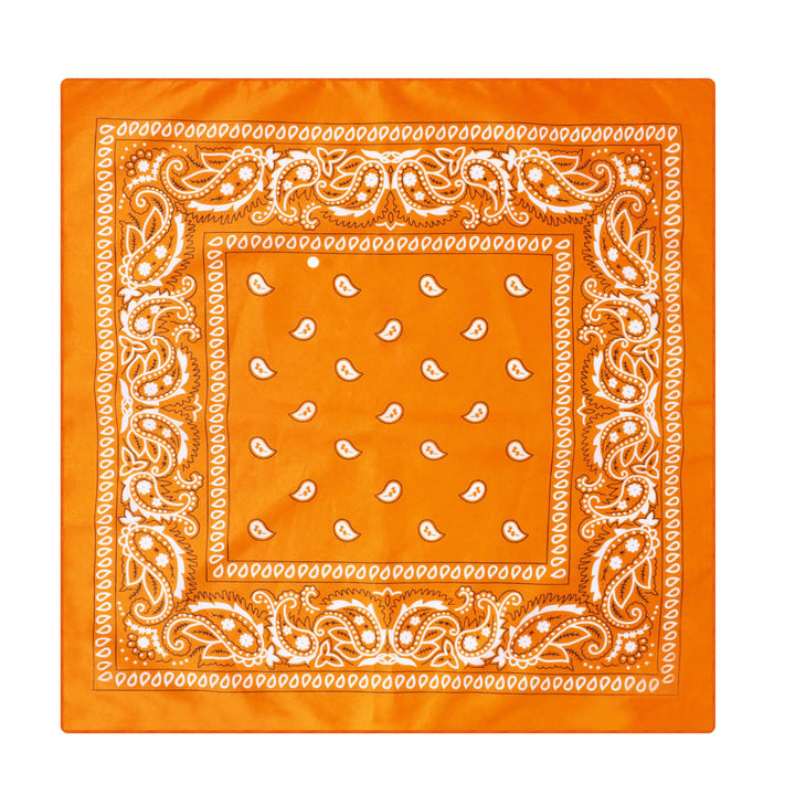 Pochette de costume vintage à motif cachemire et noix de cajou avec boucle étoile argentée - Style n° 14 - image 15